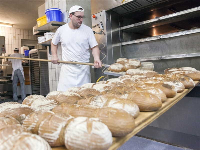 Brotlaibe nach dem Backen aus dem Ofen holen