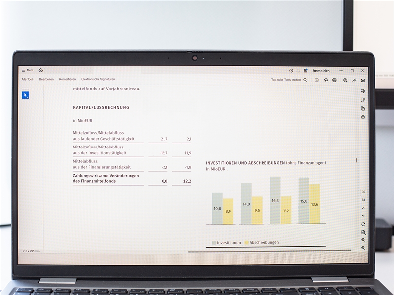 Computerbildschirm mit einer Kapitalflussrechnung